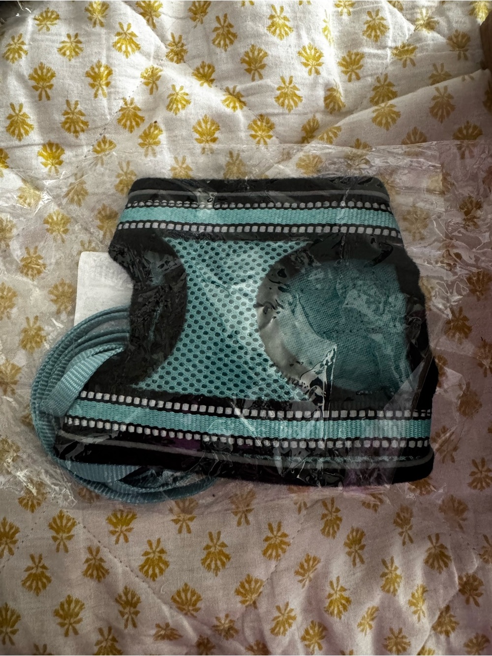 Small cat or dog mesh body harness and leash.